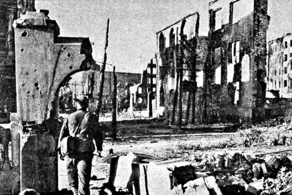 Иллюстрация к книге — Агония Сталинграда. Волга течет кровью [Autogen_eBook_id9.jpg]