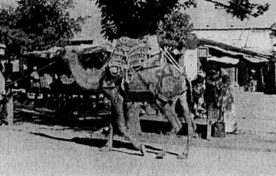 Иллюстрация к книге — Под Баграмом [i_057.jpg]