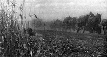 Иллюстрация к книге — 22 июня. Черный день календаря [i_050.jpg]