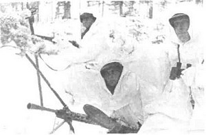 Иллюстрация к книге — Оболганная победа Сталина. Штурм Линии Маннергейма [i_011.jpg]