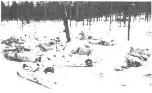 Иллюстрация к книге — Оболганная победа Сталина. Штурм Линии Маннергейма [i_027.jpg]