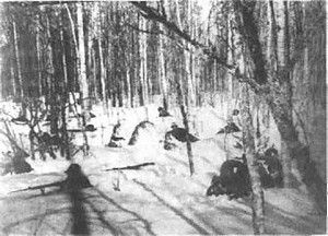 Иллюстрация к книге — Оболганная победа Сталина. Штурм Линии Маннергейма [i_046.jpg]