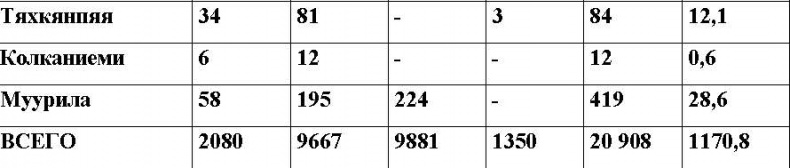 Иллюстрация к книге — Оболганная победа Сталина. Штурм Линии Маннергейма [i_081.jpg]