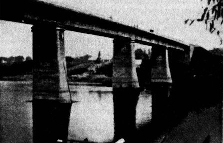 Иллюстрация к книге — Иной 1941. От границы до Ленинграда [i_003.jpg]