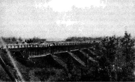 Иллюстрация к книге — Иной 1941. От границы до Ленинграда [i_066.jpg]