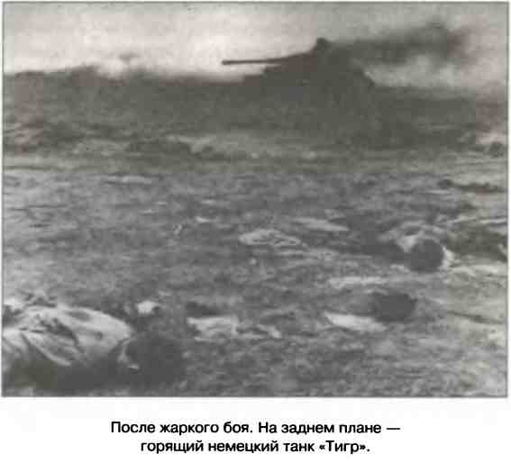 Иллюстрация к книге — Освобождение 1943. «От Курска и Орла война нас довела…» [i_025.jpg]