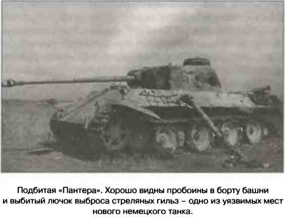 Иллюстрация к книге — Освобождение 1943. «От Курска и Орла война нас довела…» [i_036.jpg]