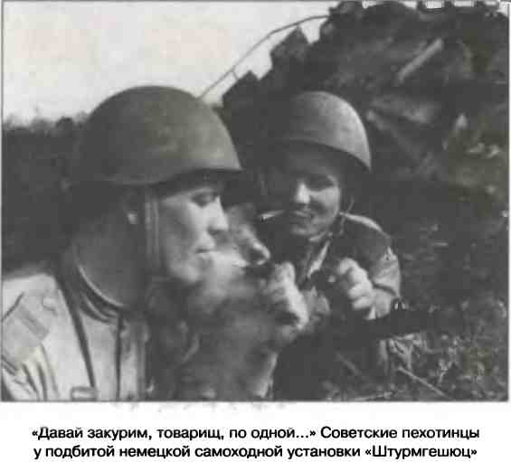 Иллюстрация к книге — Освобождение 1943. «От Курска и Орла война нас довела…» [i_059.jpg]