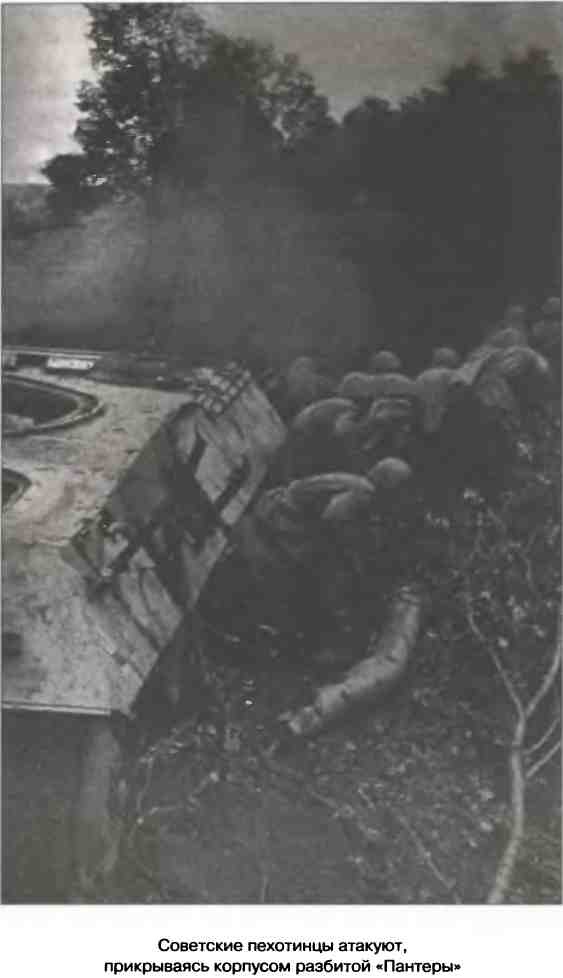 Иллюстрация к книге — Освобождение 1943. «От Курска и Орла война нас довела…» [i_067.jpg]