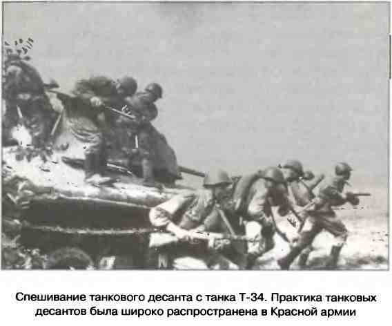 Иллюстрация к книге — Освобождение 1943. «От Курска и Орла война нас довела…» [i_070.jpg]