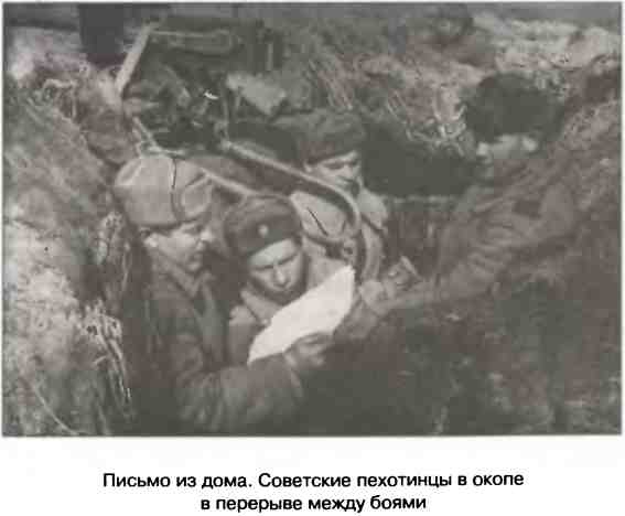 Иллюстрация к книге — Освобождение 1943. «От Курска и Орла война нас довела…» [i_099.jpg]