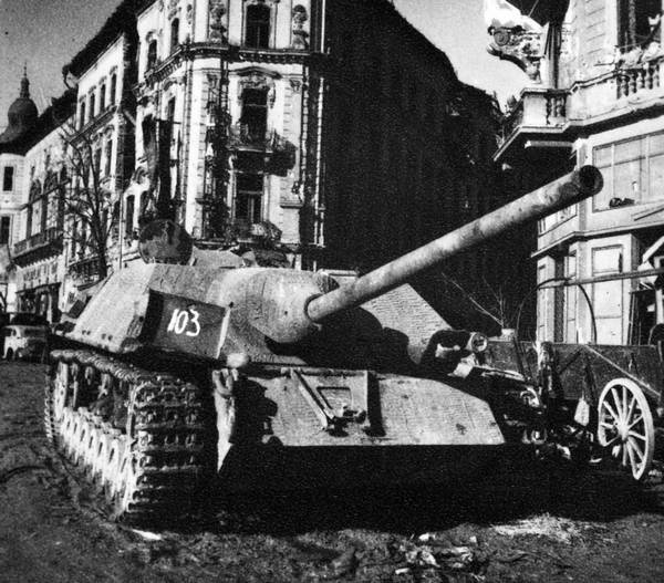 Иллюстрация к книге — Последние контрудары Гитлера. Разгром Панцерваффе [i_028.jpg]