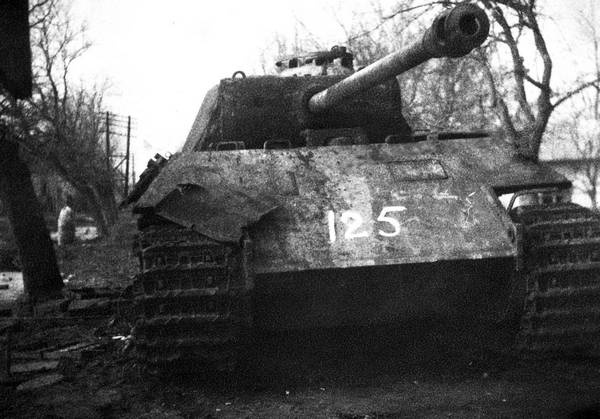 Иллюстрация к книге — Последние контрудары Гитлера. Разгром Панцерваффе [i_039.jpg]