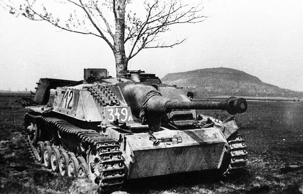 Иллюстрация к книге — Последние контрудары Гитлера. Разгром Панцерваффе [i_145.jpg]