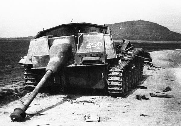 Иллюстрация к книге — Последние контрудары Гитлера. Разгром Панцерваффе [i_153.jpg]