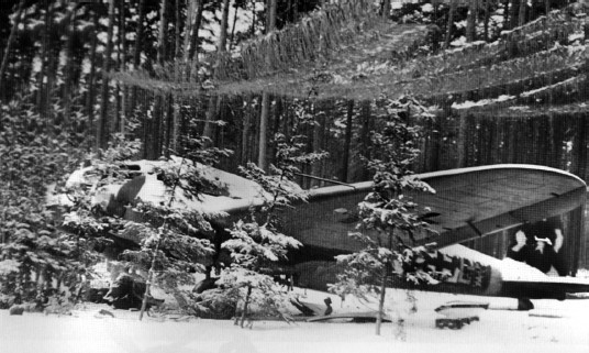 Иллюстрация к книге — Разгром 1945. Битва за Германию [i_002.jpg]