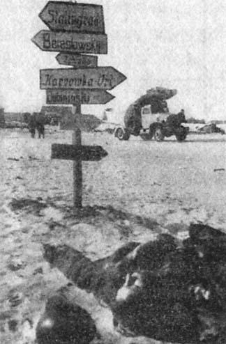 Иллюстрация к книге — Сталинград. За Волгой для нас земли нет [img_62.jpg]