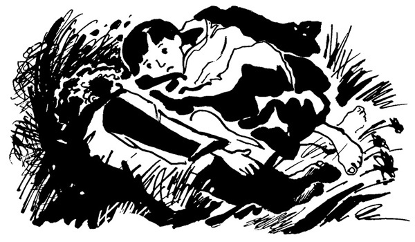 Иллюстрация к книге — Беги, мальчик, беги [i_010.jpg]