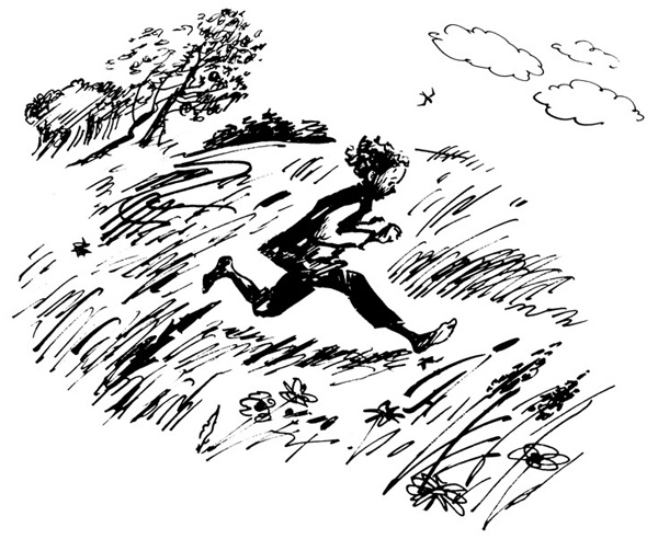 Иллюстрация к книге — Беги, мальчик, беги [i_011.jpg]