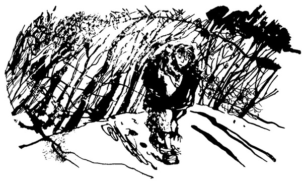 Иллюстрация к книге — Беги, мальчик, беги [i_016.jpg]