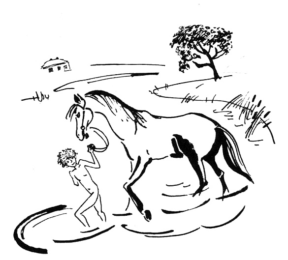 Иллюстрация к книге — Беги, мальчик, беги [i_033.jpg]