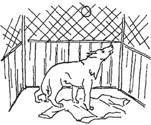 Иллюстрация к книге — КОГИз. Записки на полях эпохи [i_043.jpg]