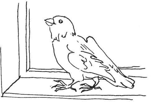 Иллюстрация к книге — КОГИз. Записки на полях эпохи [i_063.jpg]