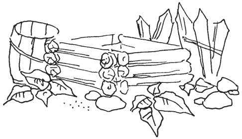 Иллюстрация к книге — КОГИз. Записки на полях эпохи [i_074.jpg]