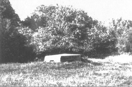 Иллюстрация к книге — Секретные объекты "Вервольфа" [i_011.jpg]