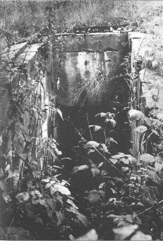 Иллюстрация к книге — Секретные объекты "Вервольфа" [i_013.jpg]