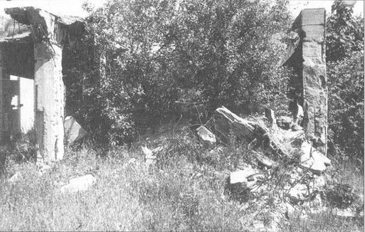 Иллюстрация к книге — Секретные объекты "Вервольфа" [i_014.jpg]