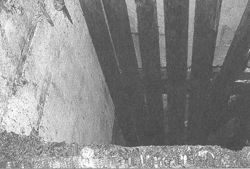 Иллюстрация к книге — Секретные объекты "Вервольфа" [i_022.jpg]