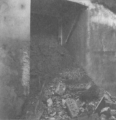 Иллюстрация к книге — Секретные объекты "Вервольфа" [i_023.jpg]