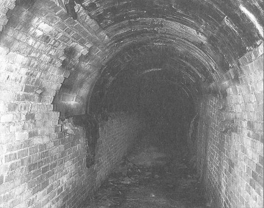 Иллюстрация к книге — Секретные объекты "Вервольфа" [i_024.jpg]