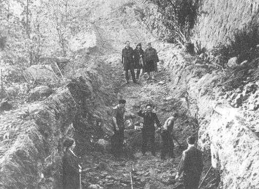 Иллюстрация к книге — Секретные объекты "Вервольфа" [i_025.jpg]