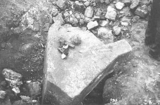 Иллюстрация к книге — Секретные объекты "Вервольфа" [i_026.jpg]