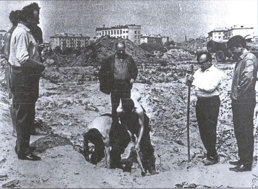 Иллюстрация к книге — Секретные бункеры Кенигсберга [i_036.jpg]