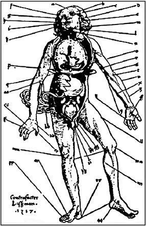Иллюстрация к книге — Сумерки вампиров. Мифы и правда о вампиризме [i_016.jpg]