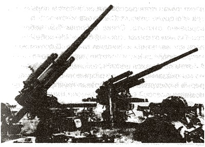 Иллюстрация к книге — Кровавый кошмар Восточного фронта. Откровения офицера парашютно-танковой дивизии "Герман Геринг" [i_008.jpg]