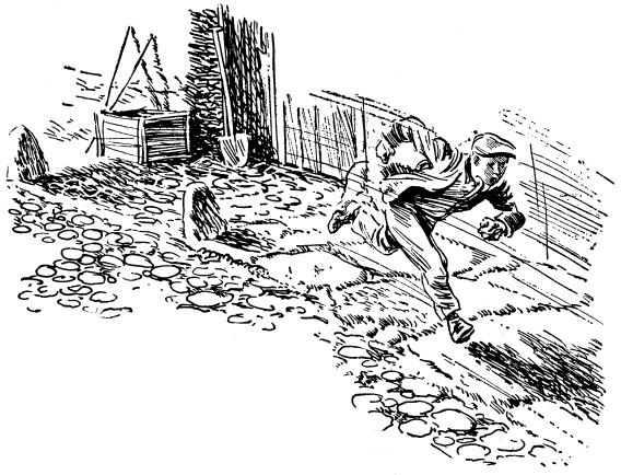 Иллюстрация к книге — Зеленые цепочки [i_010.jpg]