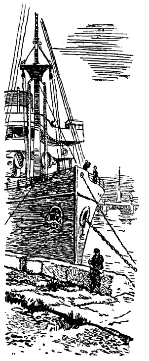 Иллюстрация к книге — Тайная схватка [i_005.jpg]