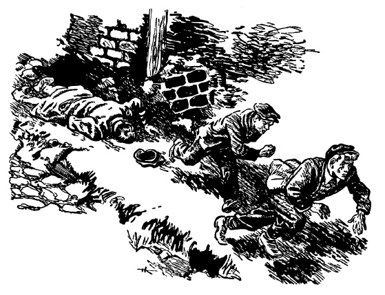 Иллюстрация к книге — Тайная схватка [i_014.jpg]