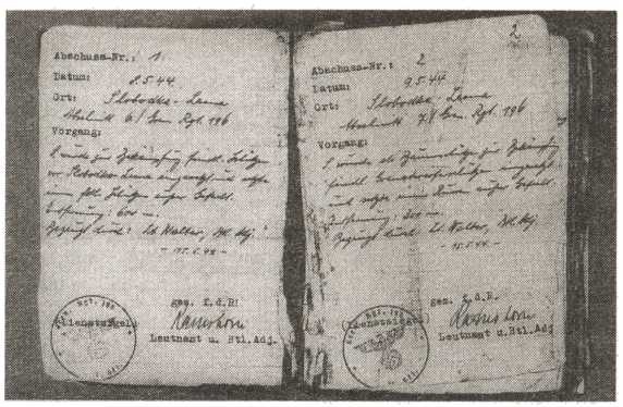 Иллюстрация к книге — Железный крест для снайпера. Убийца со снайперской винтовкой [i_006.jpg]