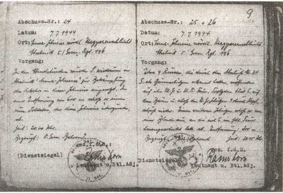 Иллюстрация к книге — Железный крест для снайпера. Убийца со снайперской винтовкой [i_010.jpg]