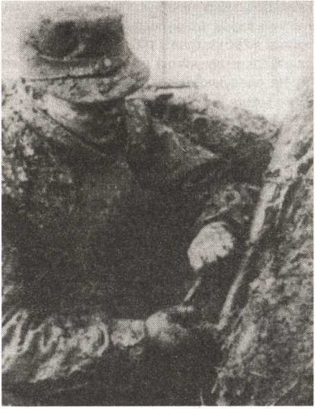 Иллюстрация к книге — Железный крест для снайпера. Убийца со снайперской винтовкой [i_019.jpg]