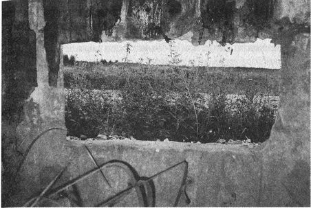 Иллюстрация к книге — Решающий момент Ржевской битвы [i_027.jpg]