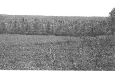 Иллюстрация к книге — Решающий момент Ржевской битвы [i_032.jpg]