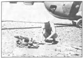 Иллюстрация к книге — Мы атакуем с небес [i_095.jpg]