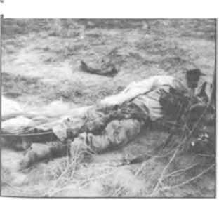 Иллюстрация к книге — Мы атакуем с небес [i_108.jpg]