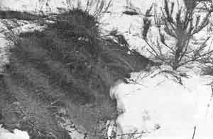 Иллюстрация к книге — Искусство снайпера [image270.jpg]